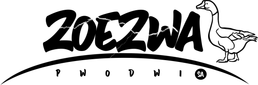 zoezwavisuals.com