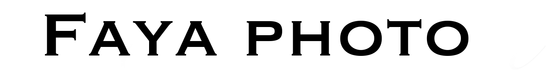 fayainside.com