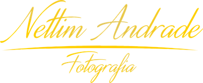 nettim.com.br