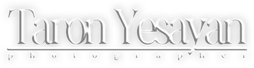 yesayanwedd.com