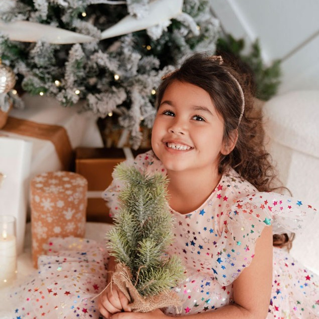 Christmas Studio Mini Sessions — Family Photography in Jacksonville, FL