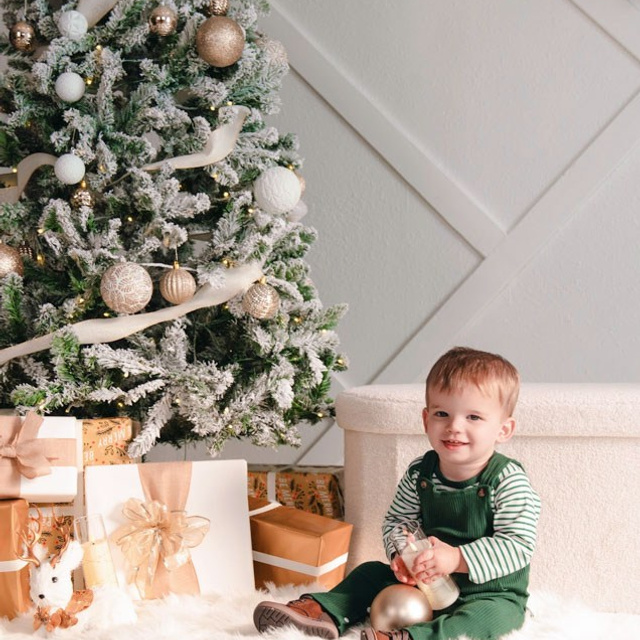 Christmas Studio Mini Sessions — Family Photography in Jacksonville, FL