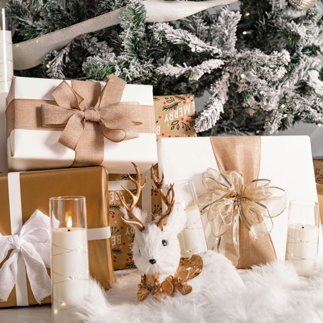 Christmas Studio Mini Sessions — Family Photography in Jacksonville, FL