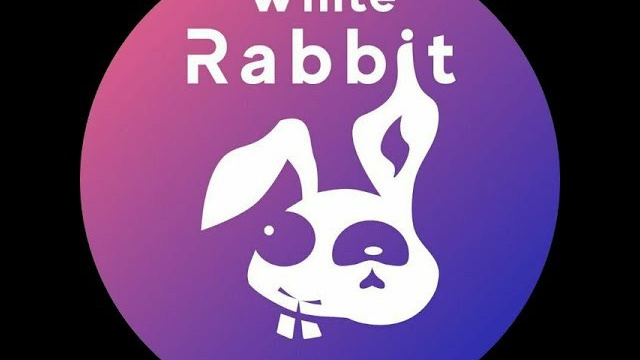 Студийные видеосъемки. Фотограф в Черногории Андрей Свитайло