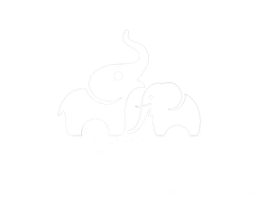 zweielefanten-photography.de