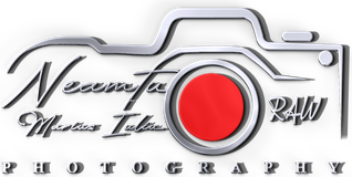 mariusiuliuneamtu.wfolio.pro