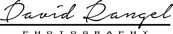 davidrangel.wfolio.pro