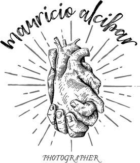 mauricioalcibar.com