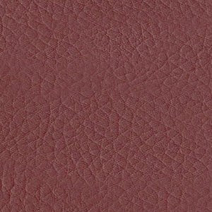 Sedinte foto Craciun Bucuresti