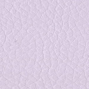 Sedinte foto Craciun Bucuresti