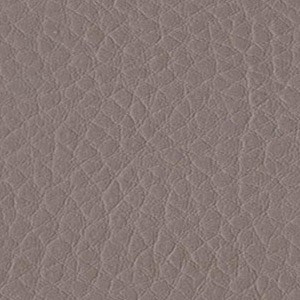 Sedinte foto Craciun Bucuresti