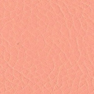 Sedinte foto Craciun Bucuresti