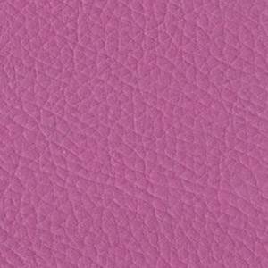 Sedinte foto Craciun Bucuresti