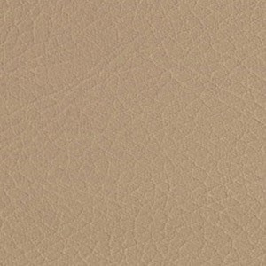 Sedinte foto Craciun Bucuresti