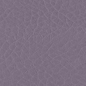 Sedinte foto Craciun Bucuresti