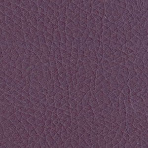 Sedinte foto Craciun Bucuresti