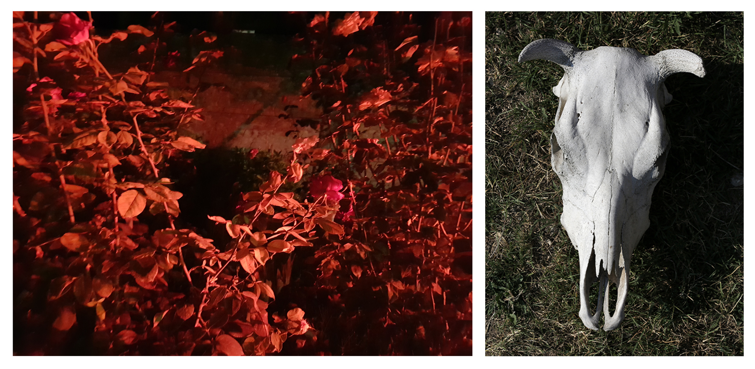 Inland Empire (project). Документальный фотограф, междисциплинарный художник