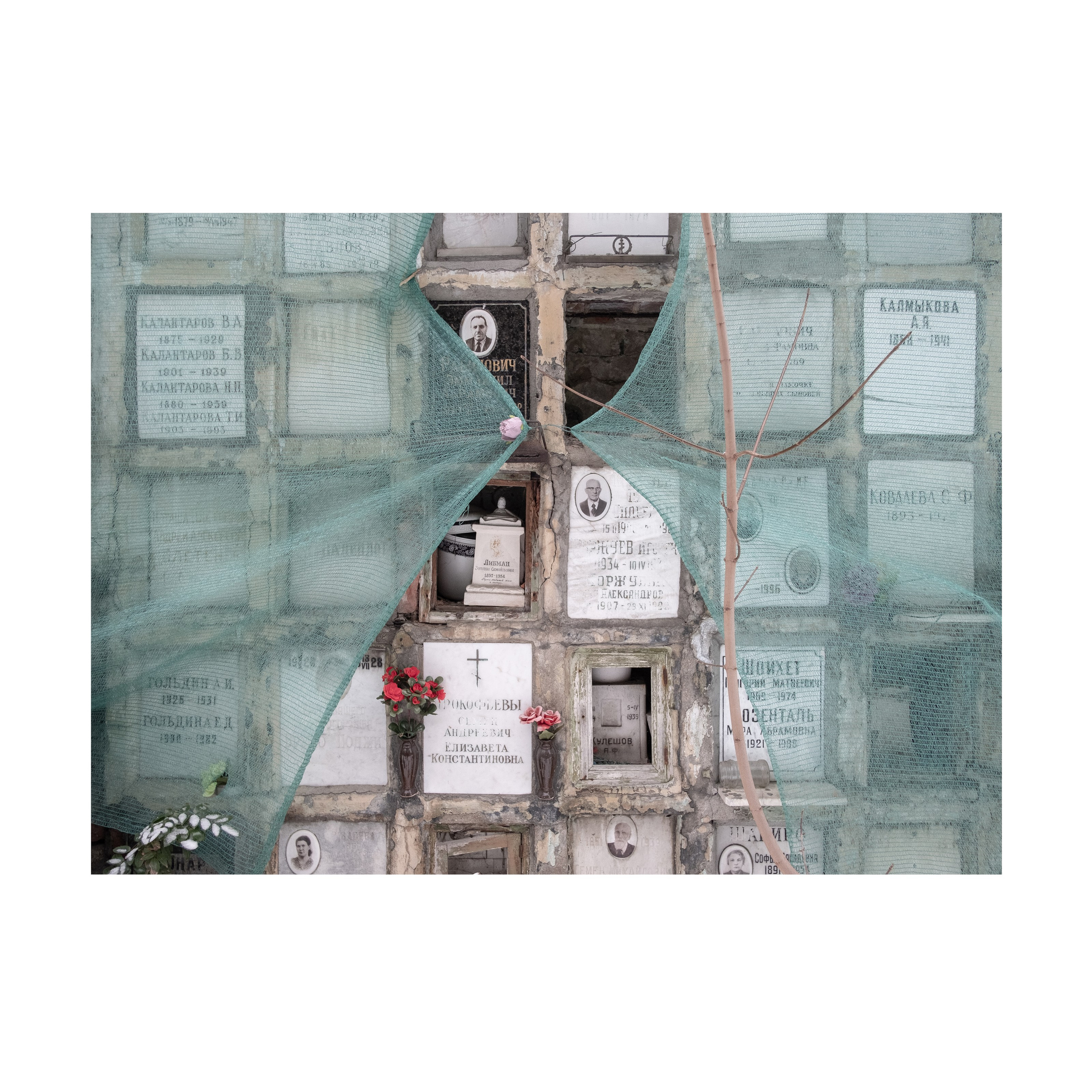 Phoenix. Nelly Elagina