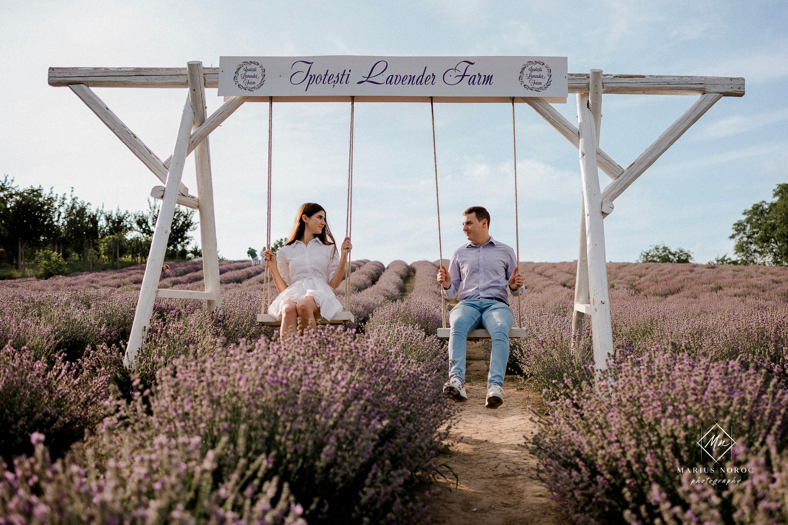 Ședință Foto Save the Date | Corina & Vasi | Ipotesti Lavender Farm