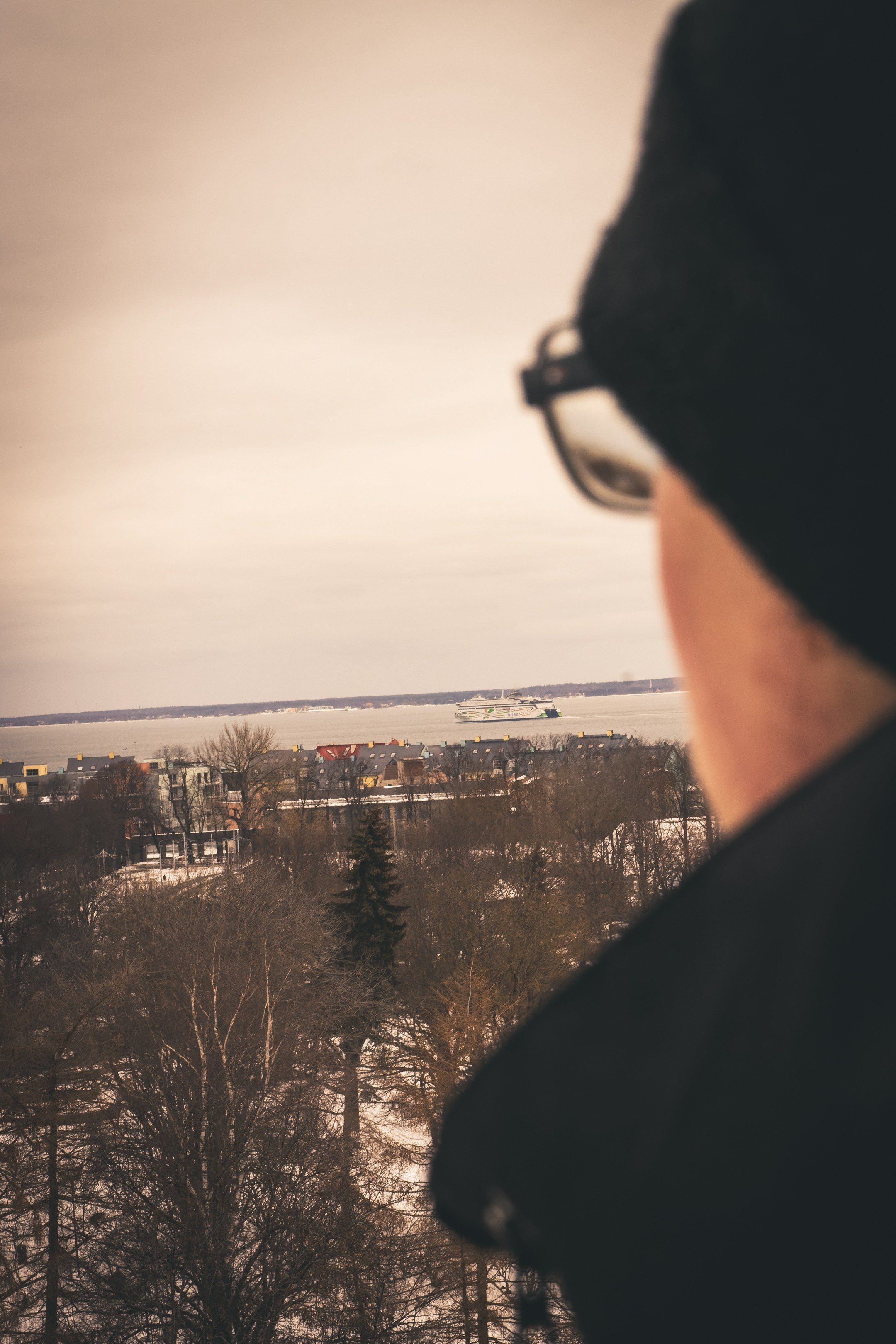 Nebula 25 — Fotod teie hingele