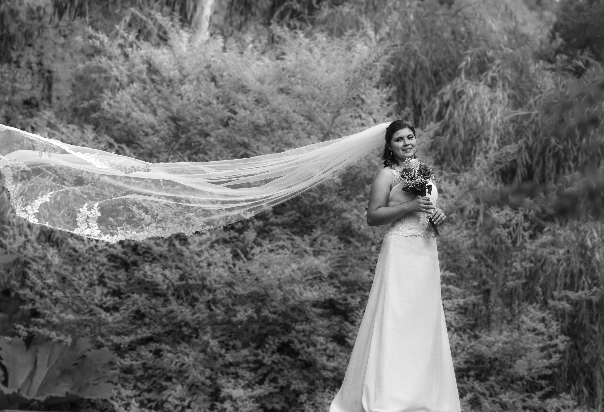 Servicios. Dinka & Emilio - Fotografía y Video