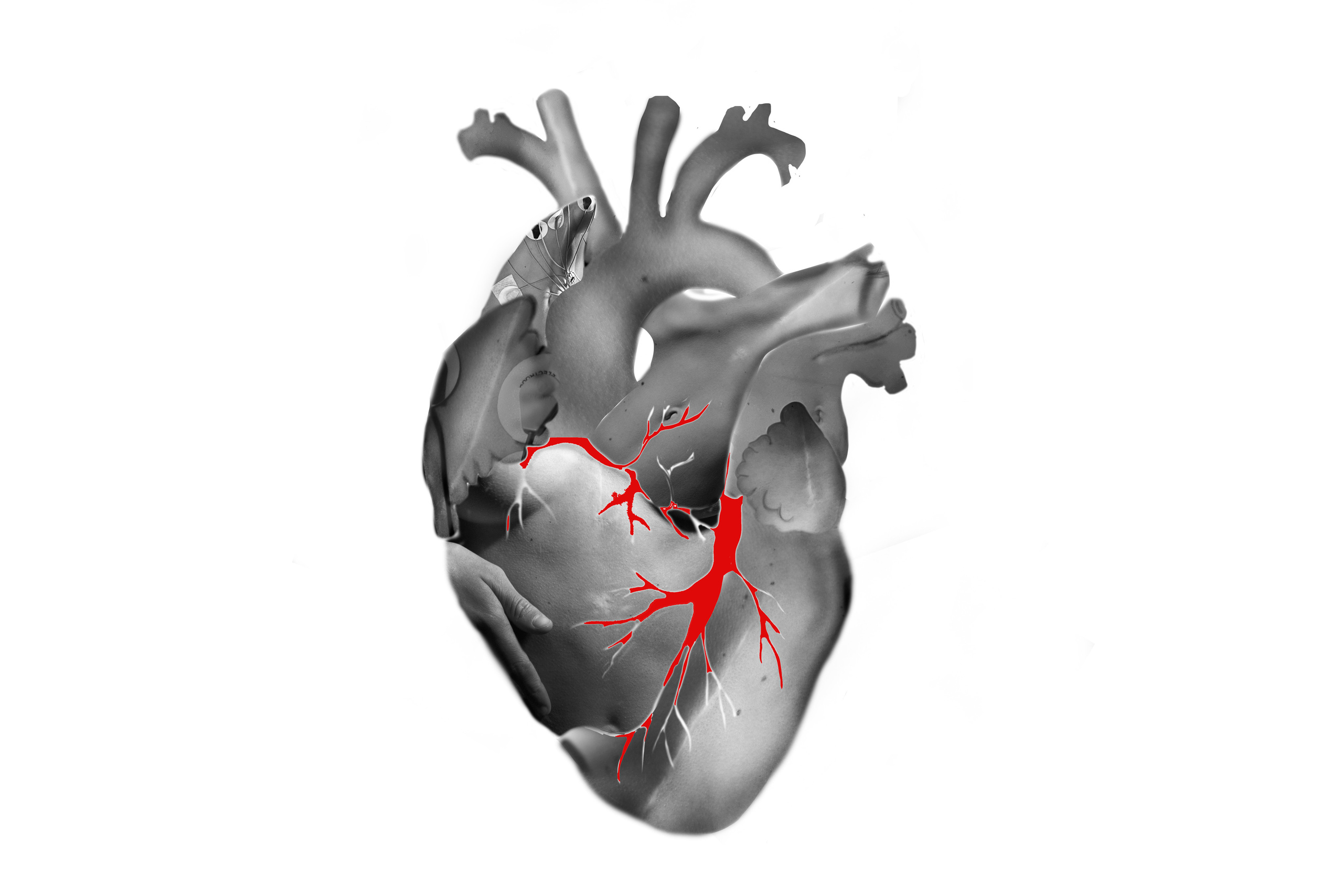 Personal project “You are declined”. Photographer in Lisbon Elena Lialina