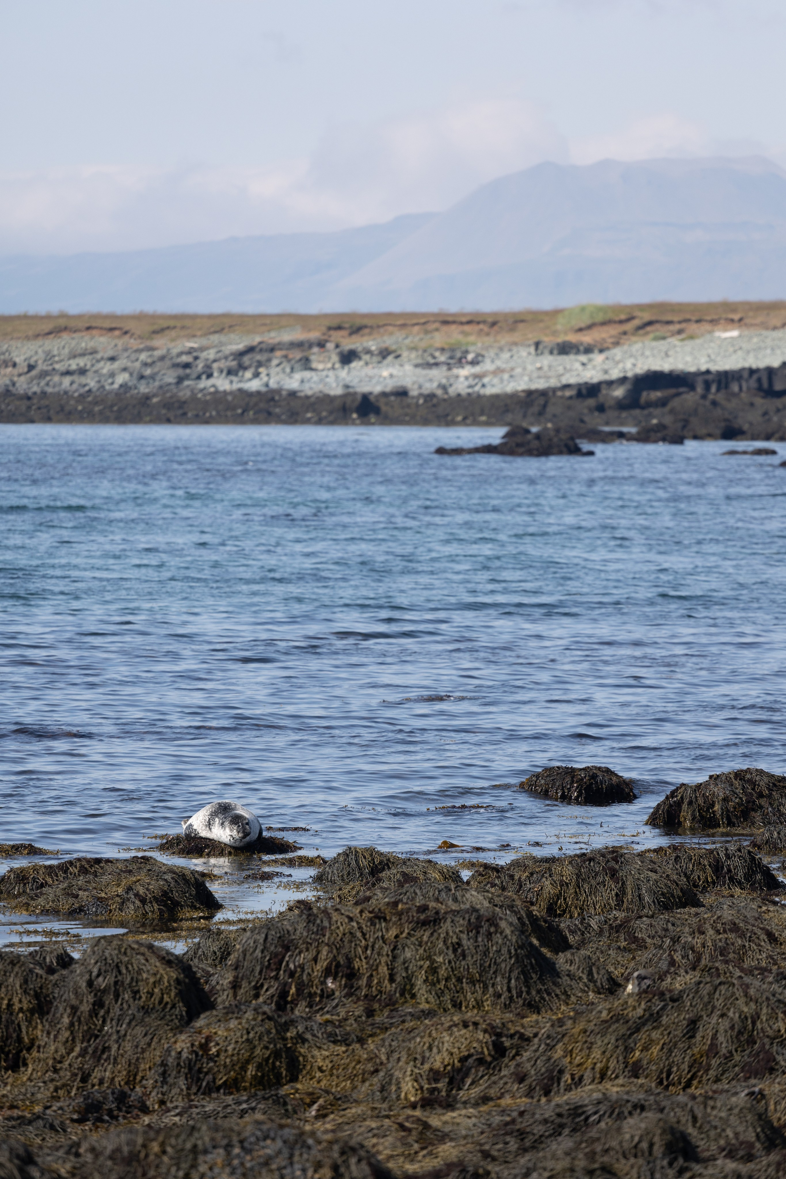 Моя фотопутешествие в Исландию. Евгения Смирнова — Ваш фотограф в Тулузе и на юго-западе Франции