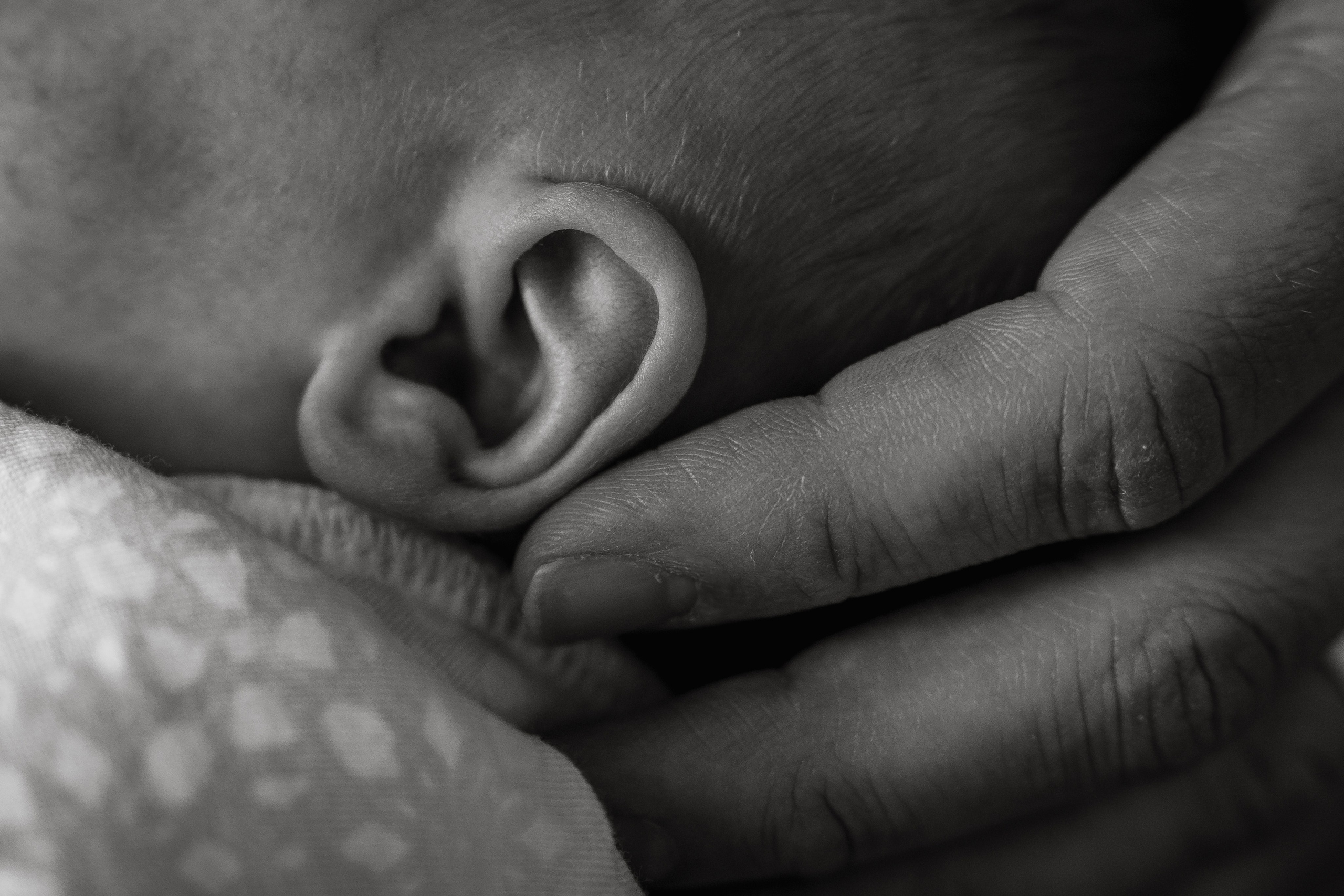 JoLynn, Justen and Codi. Alisa Tant — Family and newborn photographer Bucks County, Montgomery county, Philadelphia, NJ