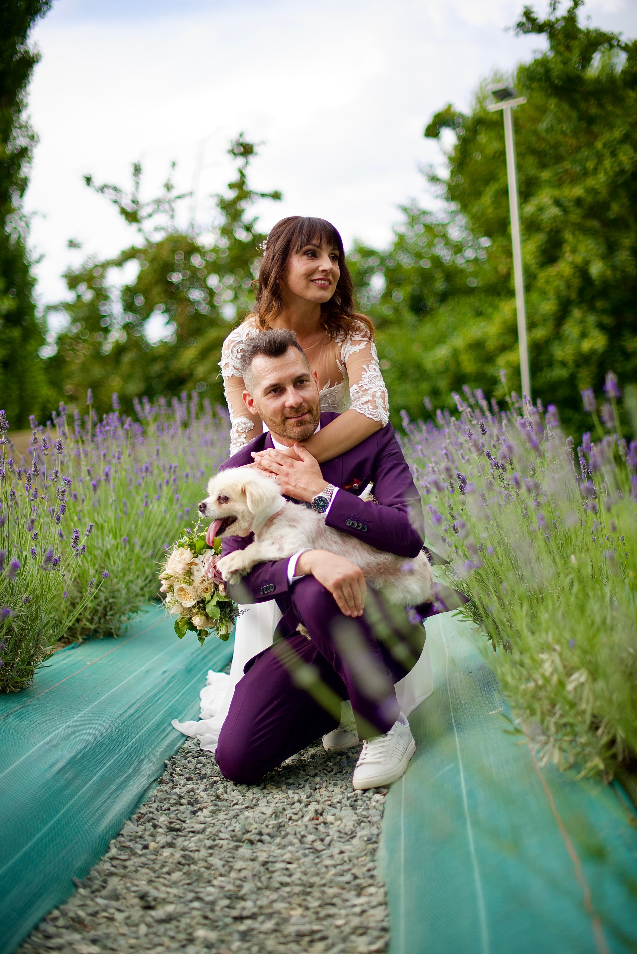 Daniel Rotaru Photography