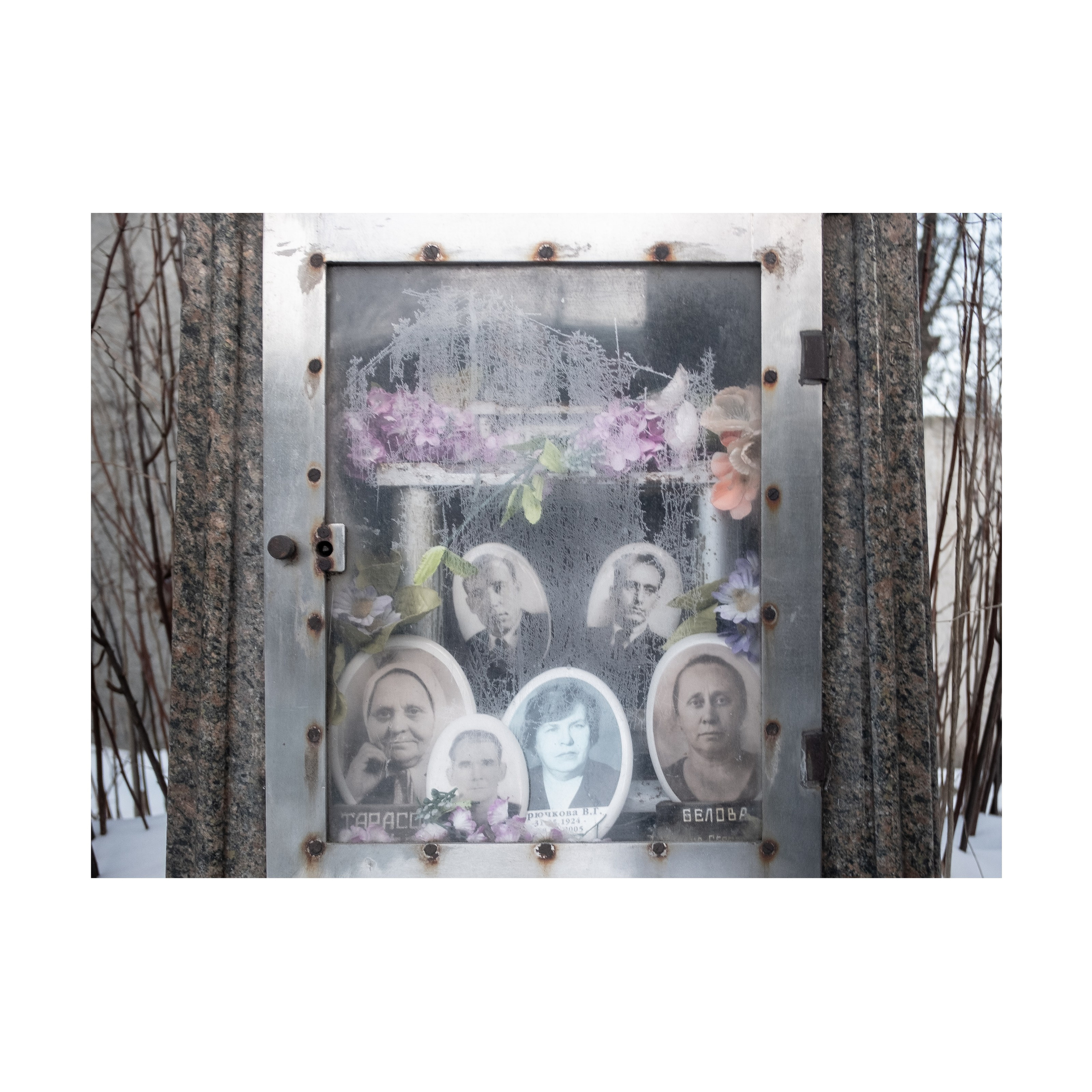 Phoenix. Nelly Elagina