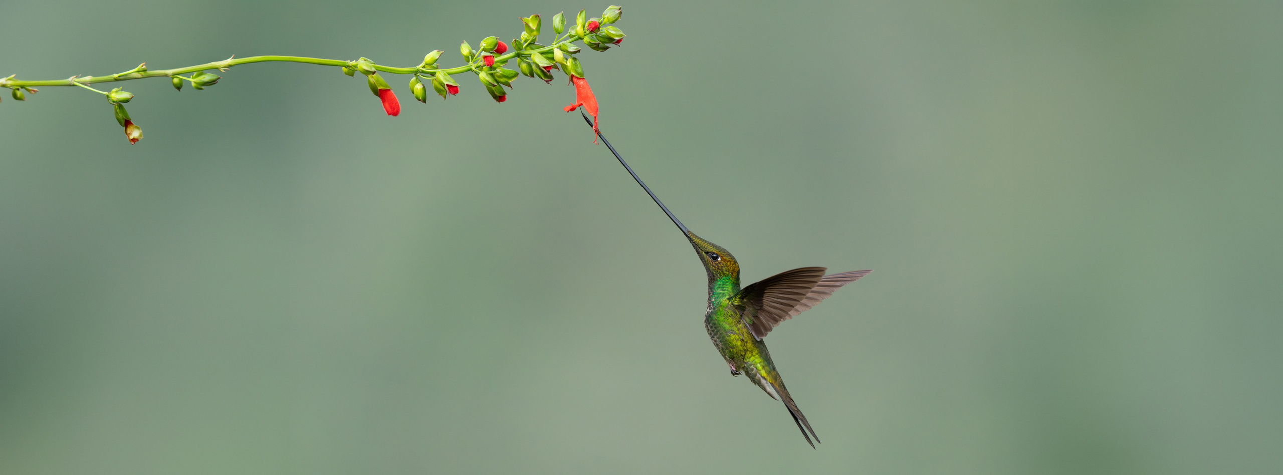 Nature photographer Yuri Soria-Galvarro