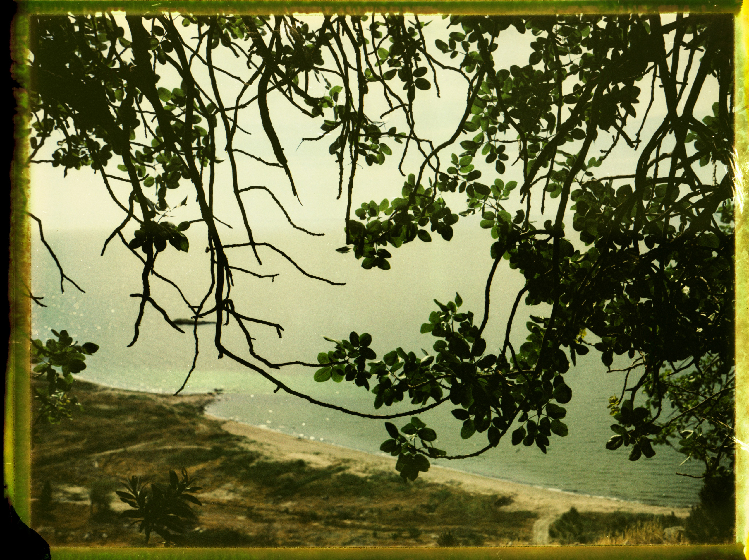 POLAROID. Www.sananaleskerov.com