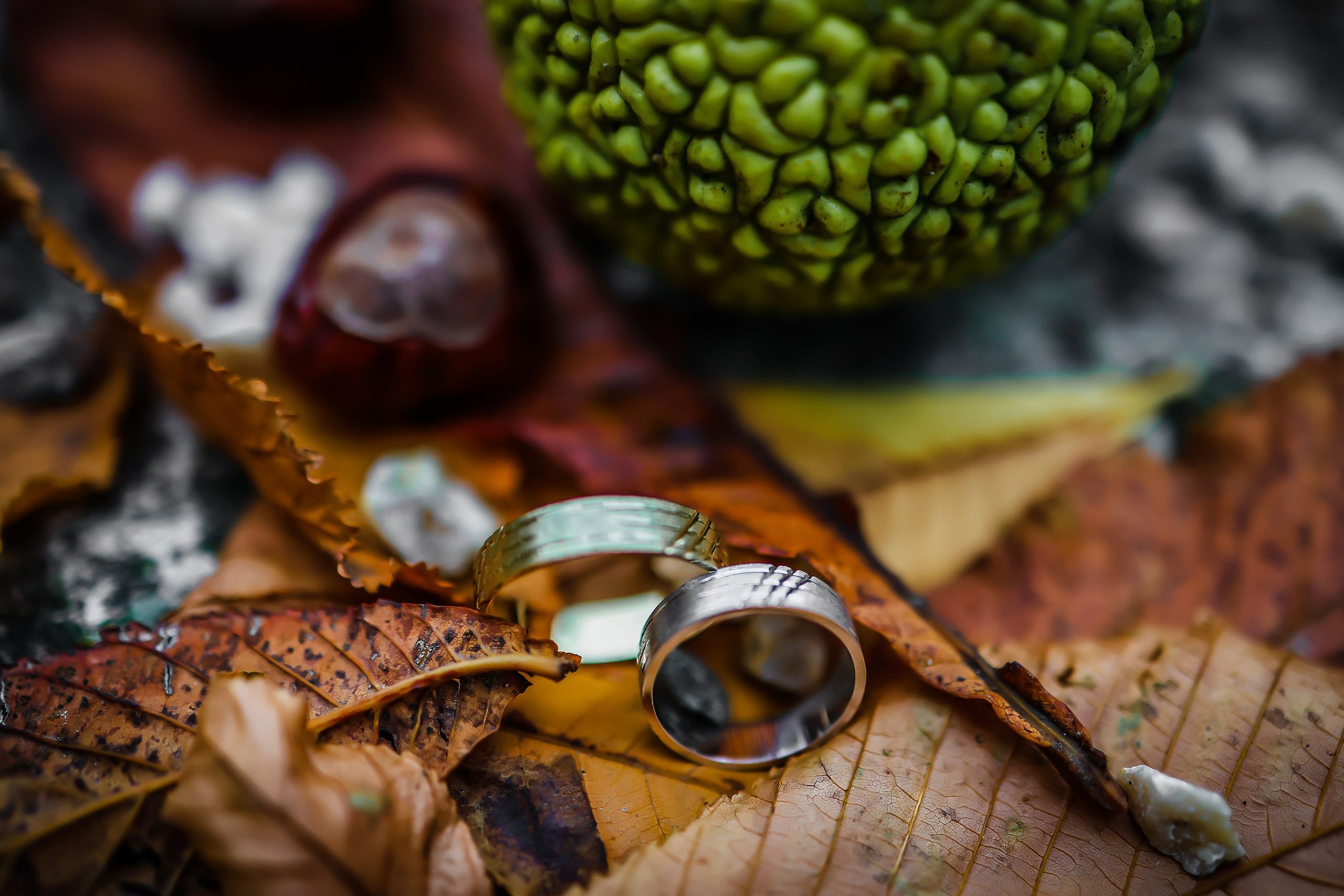 ZORAN TORĐAN — FOTOGRAF I VIDEO PRODUCENT Zrenjanin