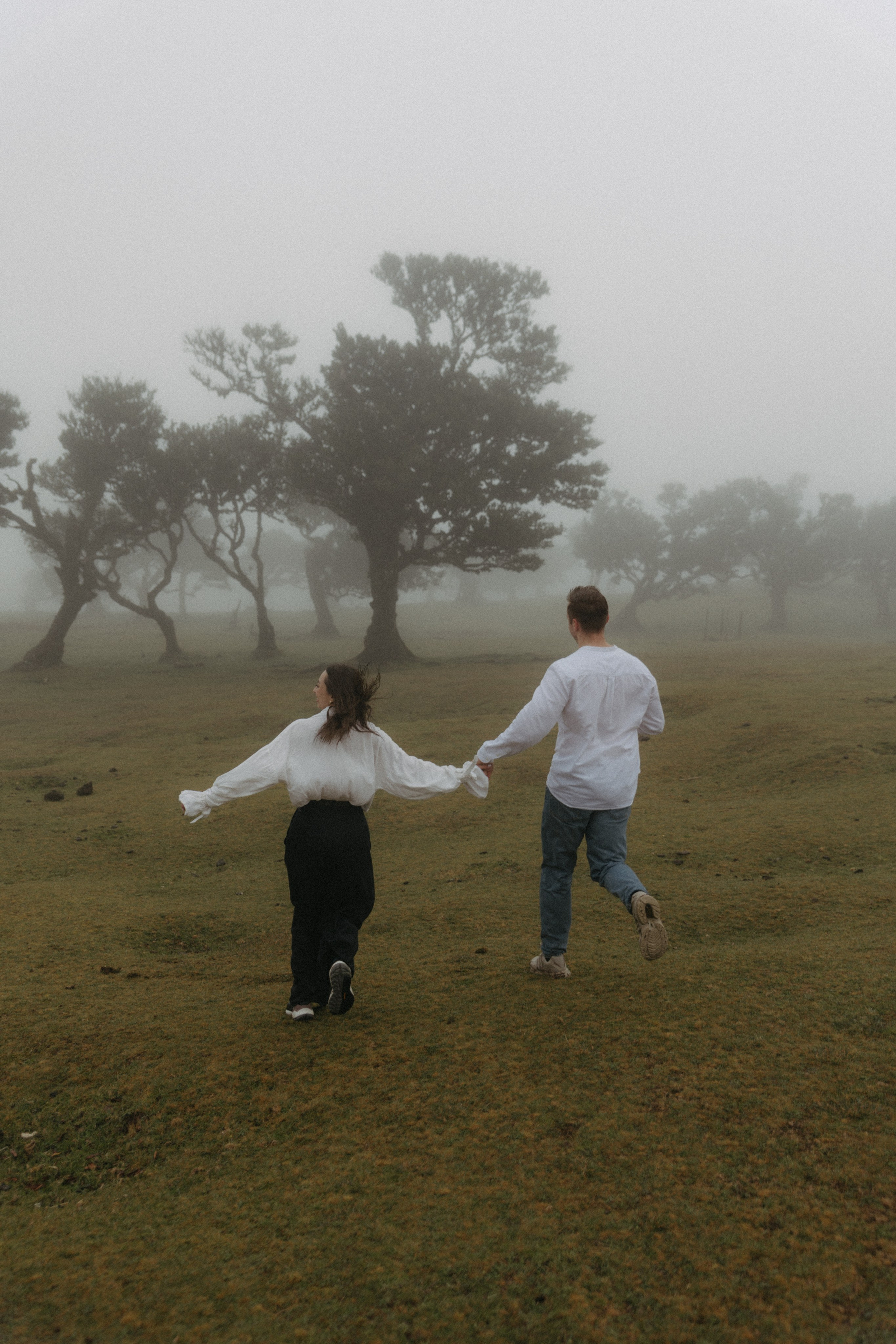 Magic of Fanal Forest. Wedding photographer and videographer based in Timisoara, Romania