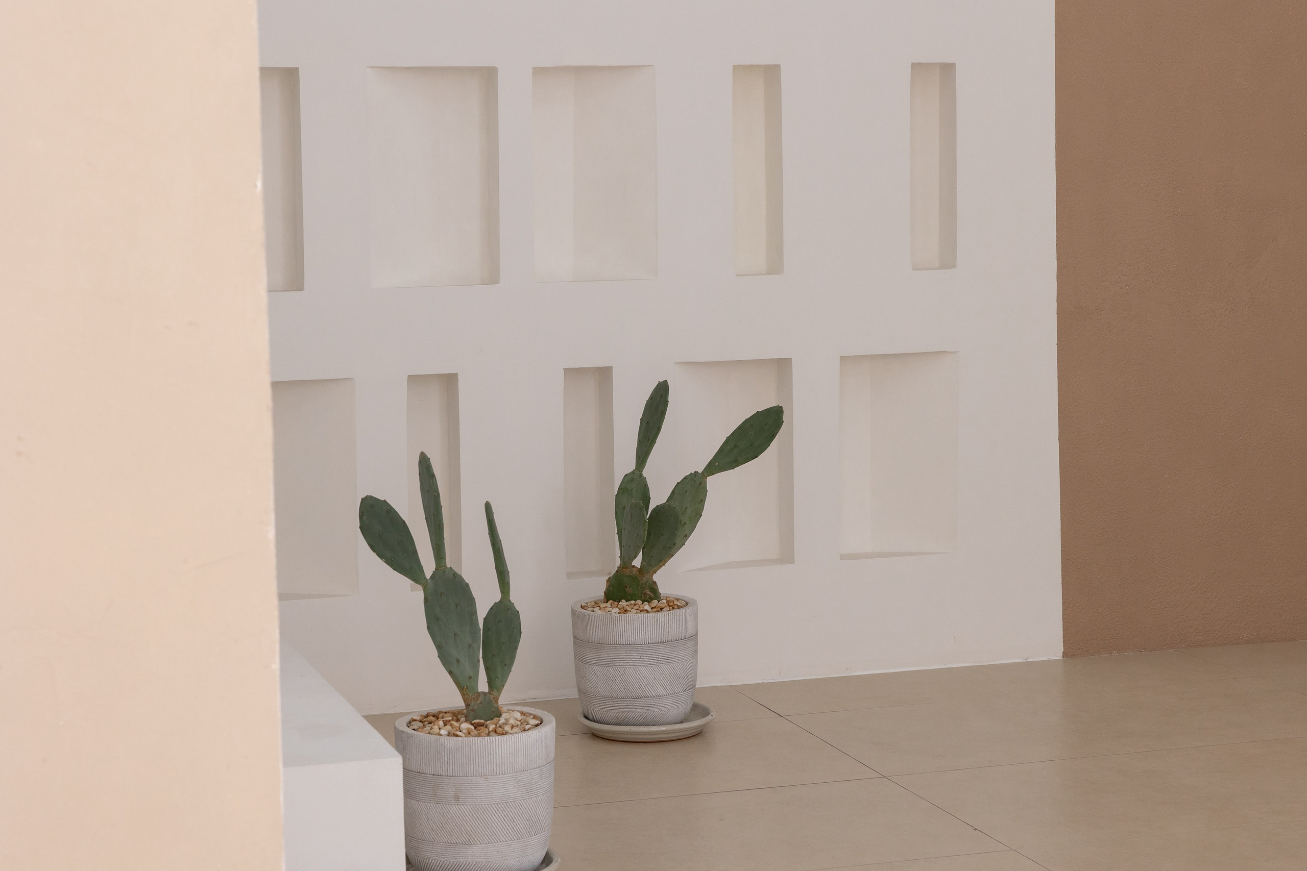 Rental. Dune Zone. Photo and video production in Dubai UAE