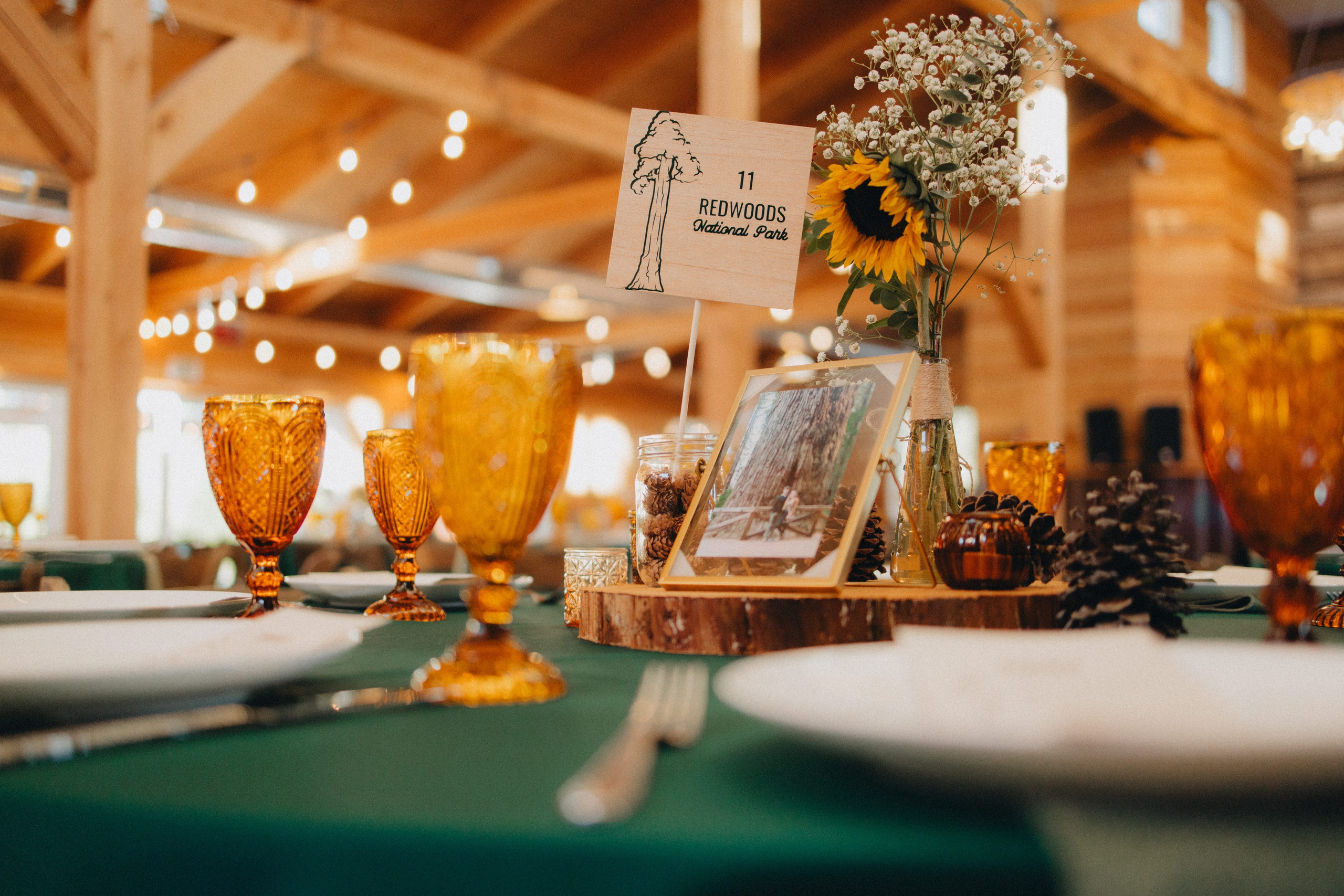 Wedding Photography at Portland Oregon | Jessie & Isaac's Session by Georgy Shishkin | Capturing Moments in Portland, Seattle, Bend & Oregon. Capturing Love in the Heart of the Pacific Northwes