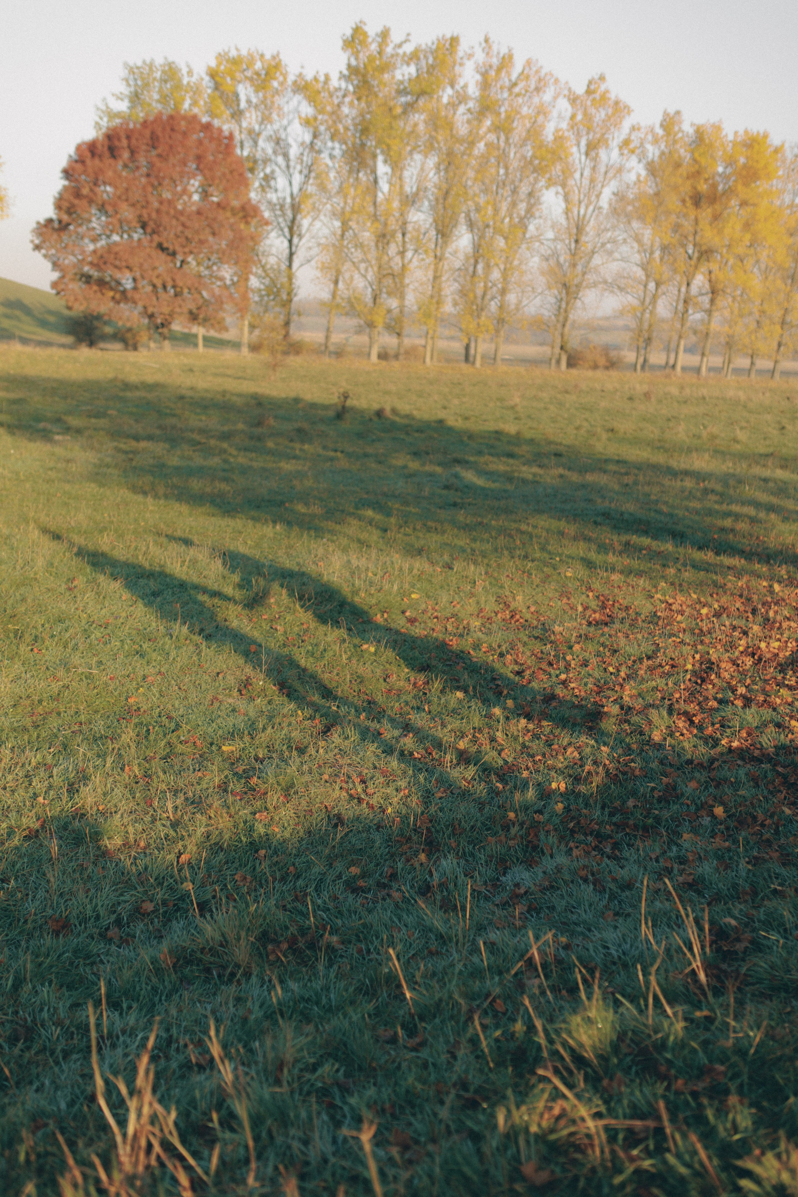 An autumn lovestory. Wedding photographer and videographer based in Timisoara, Romania