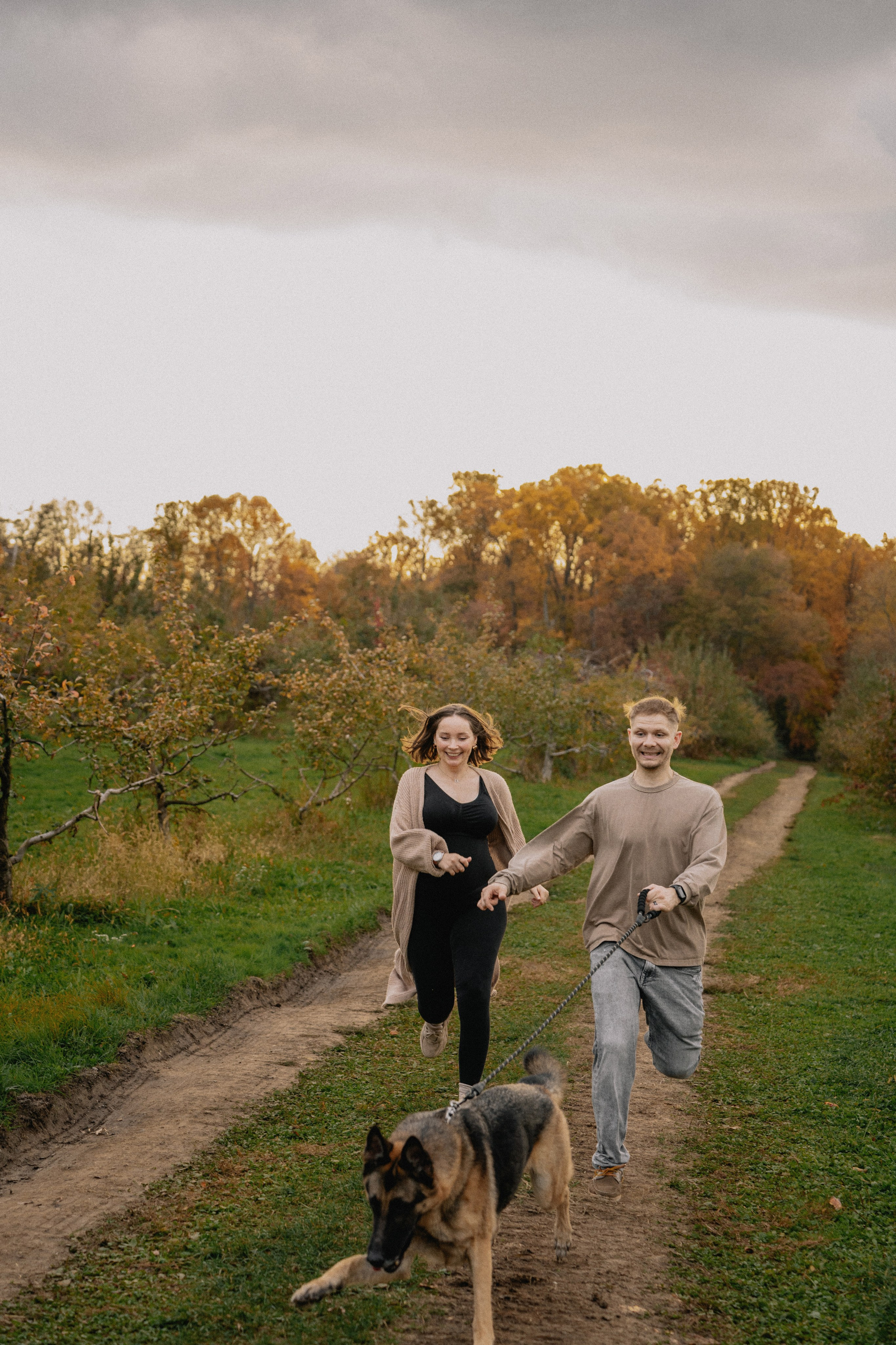Fall Maternity Photography – Golden Autumn & Apple Orchard Magic. Alisa Tant — Family and newborn photographer Bucks County, Montgomery county, Philadelphia, NJ