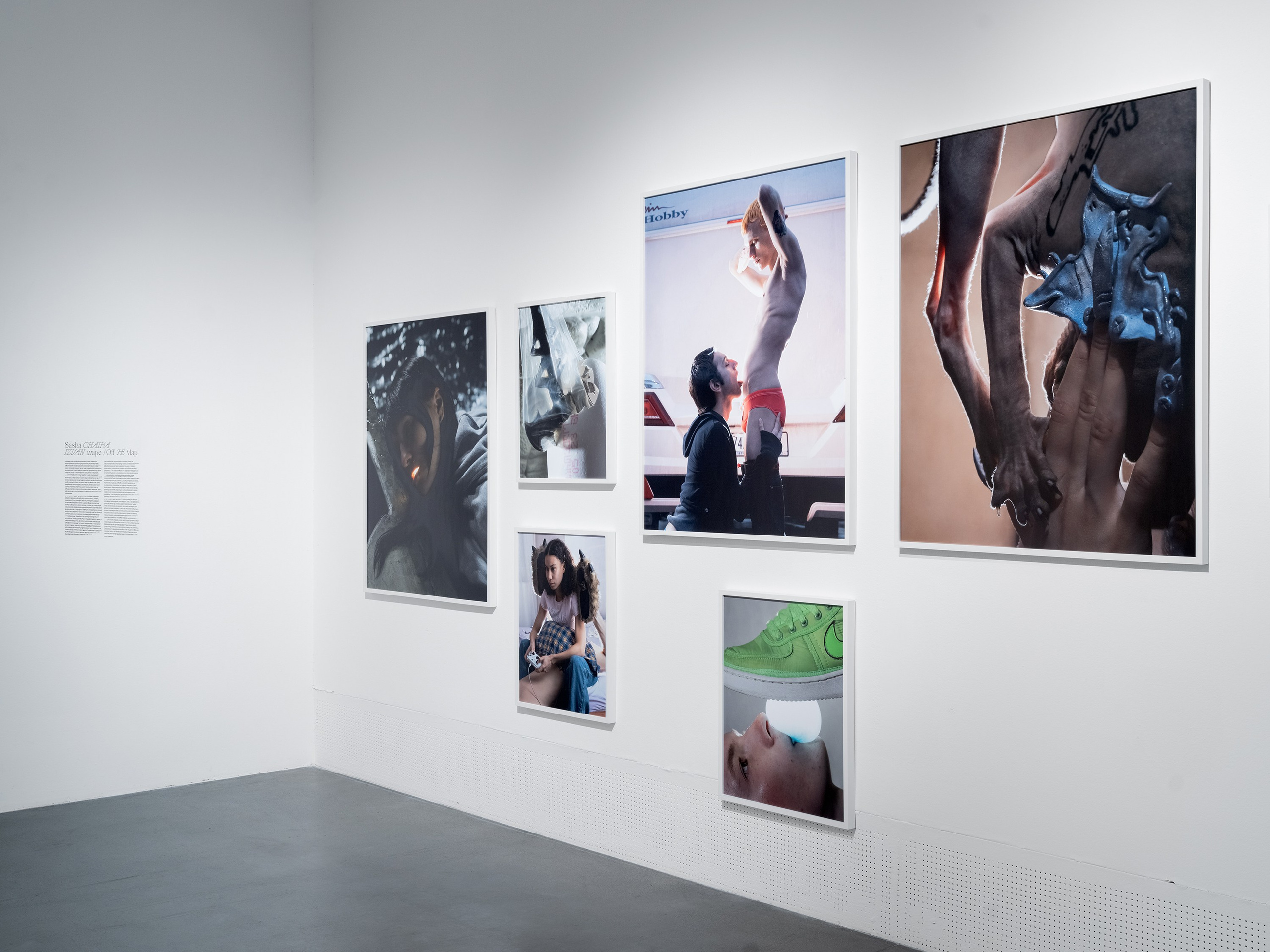 Exhibitions. Sasha Chaika