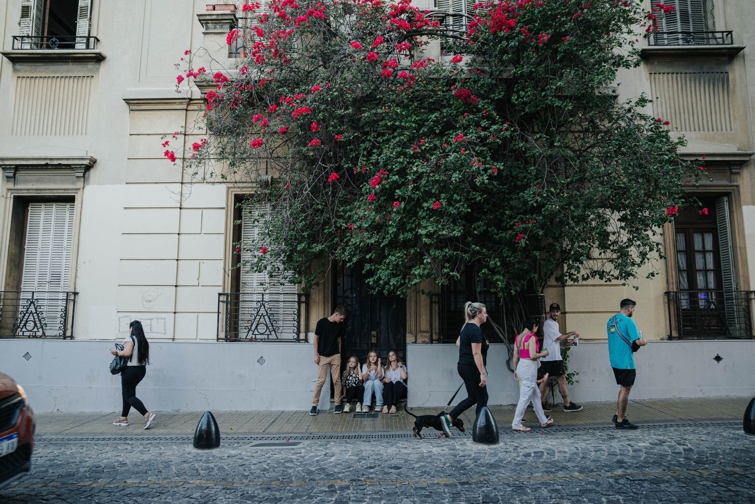 Гости из Мар-Дель-Платы. Фотограф @elmirkami в городе Буэнос-Айрес