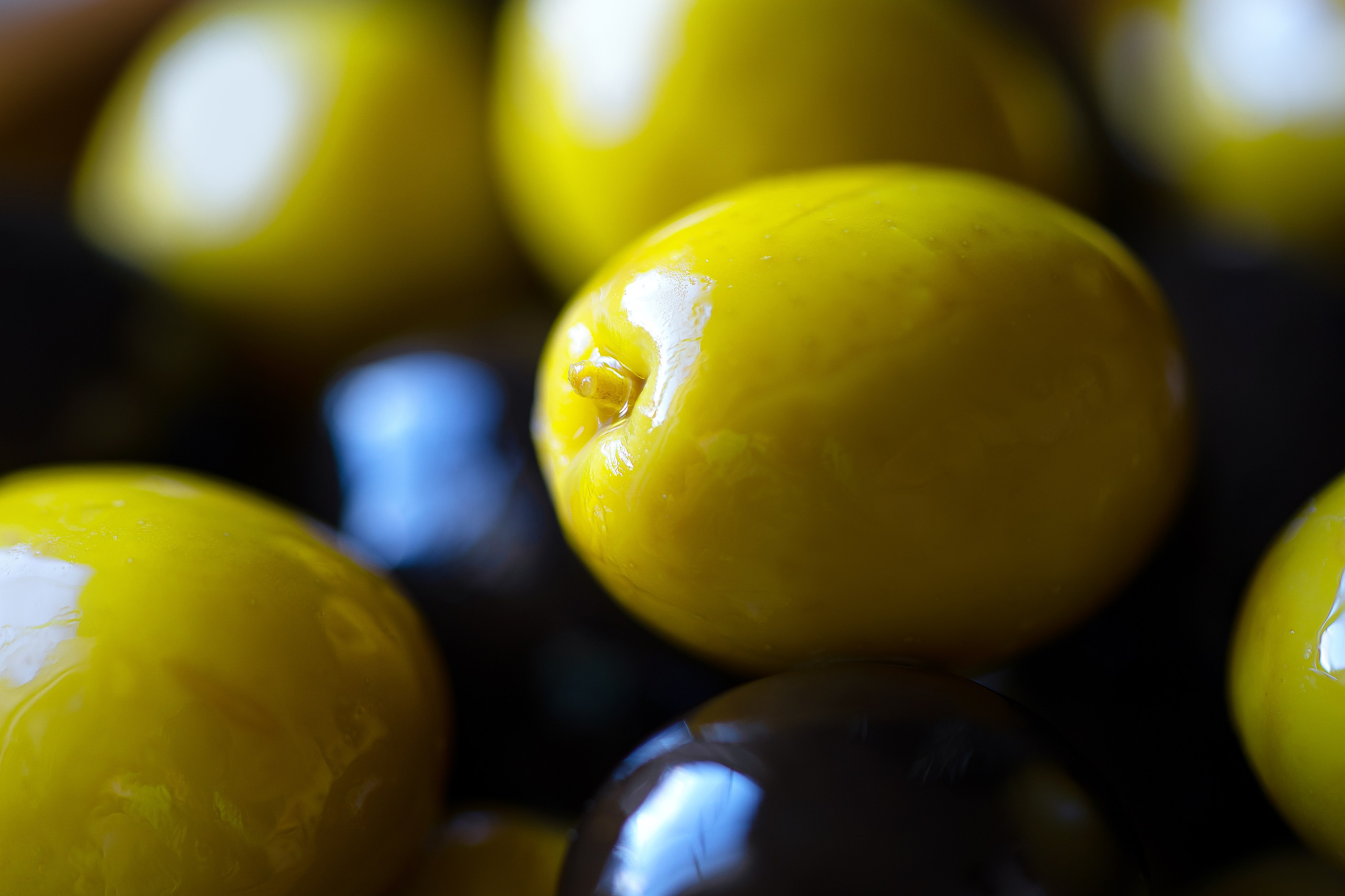 УСЛУГИ. Семейный и детский фотограф в Испании, Мадриде. Елена Лукичева