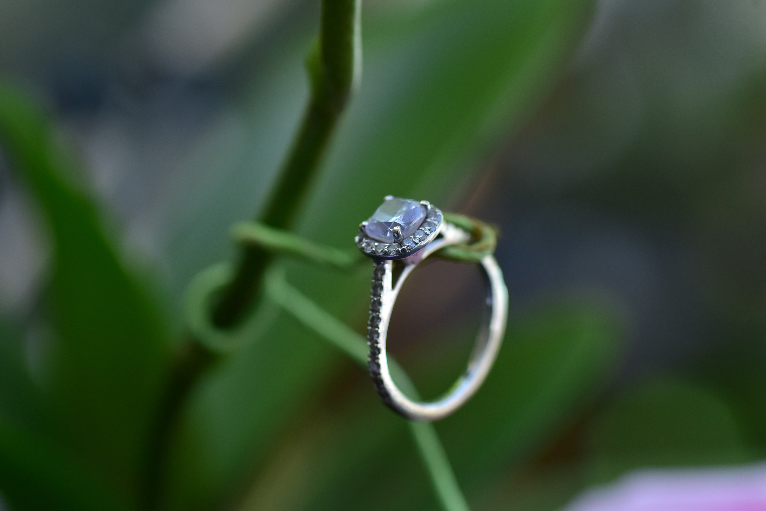 Ashley & Samuel. Wedding and events photographers Studio Shalom