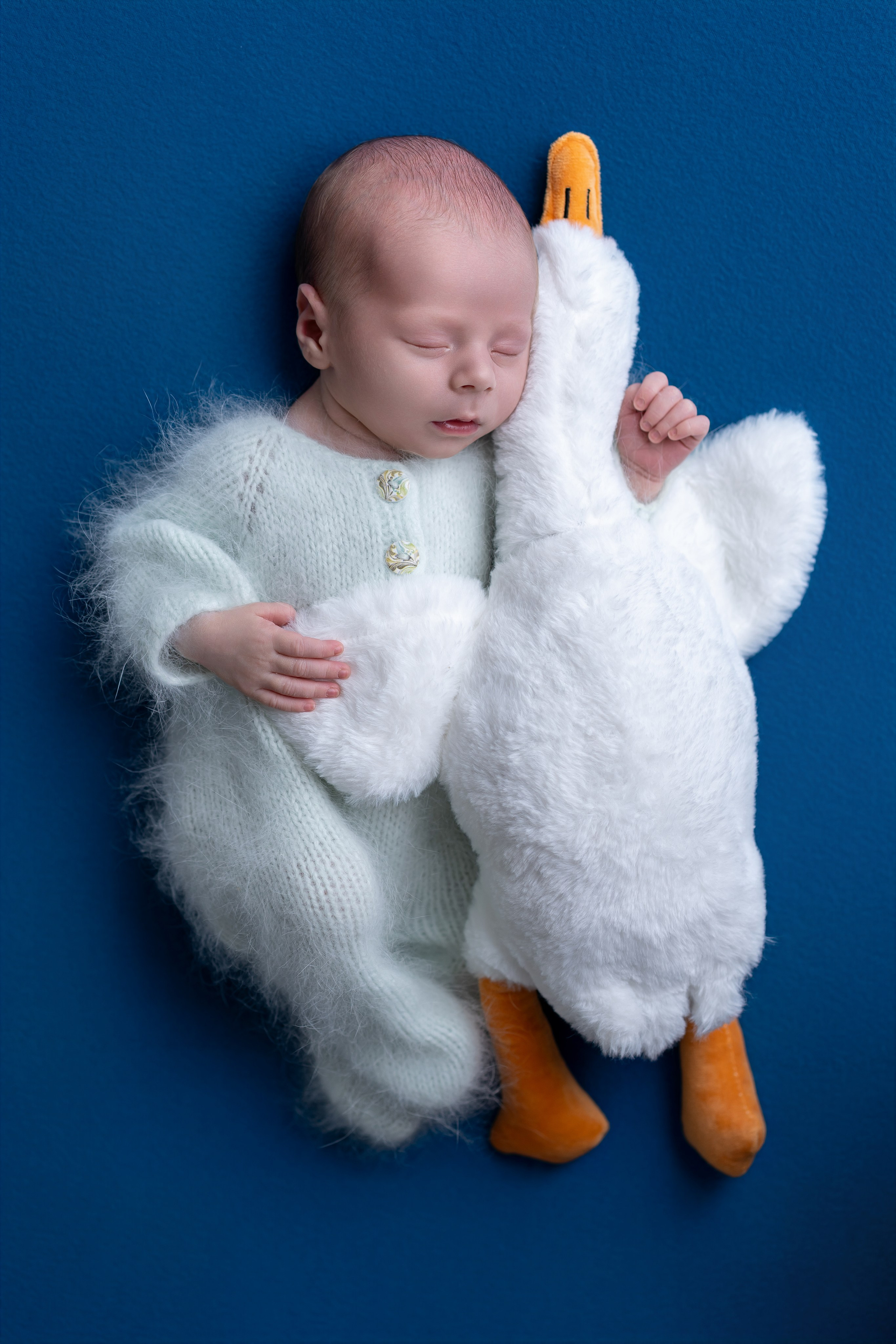 Neugeborenenfotos in Berlin – Studio oder bei Ihnen zu Hause