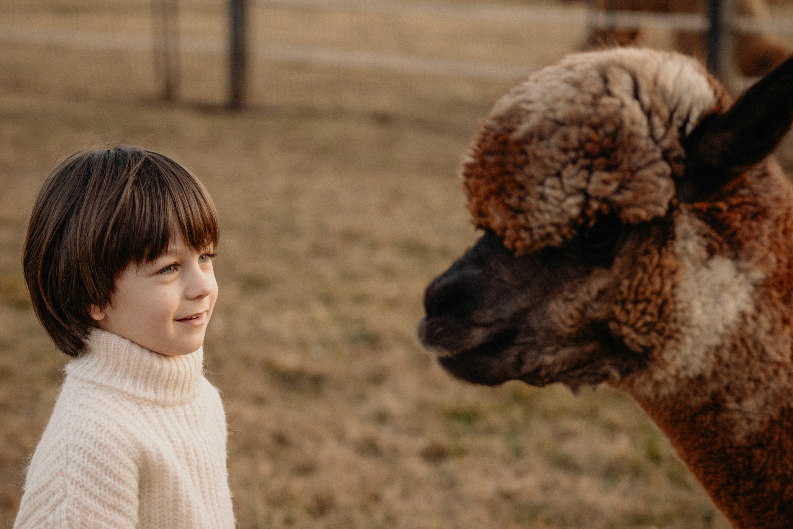 Unique Family Photography at an Alpaca Farm – Fun & Playful. Alisa Tant — Family and newborn photographer Bucks County, Montgomery county, Philadelphia, NJ