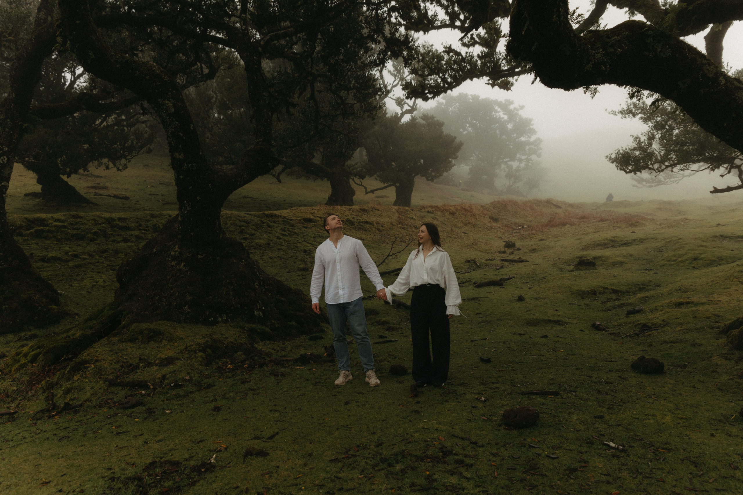 Magic of Fanal Forest. Wedding photographer and videographer based in Timisoara, Romania