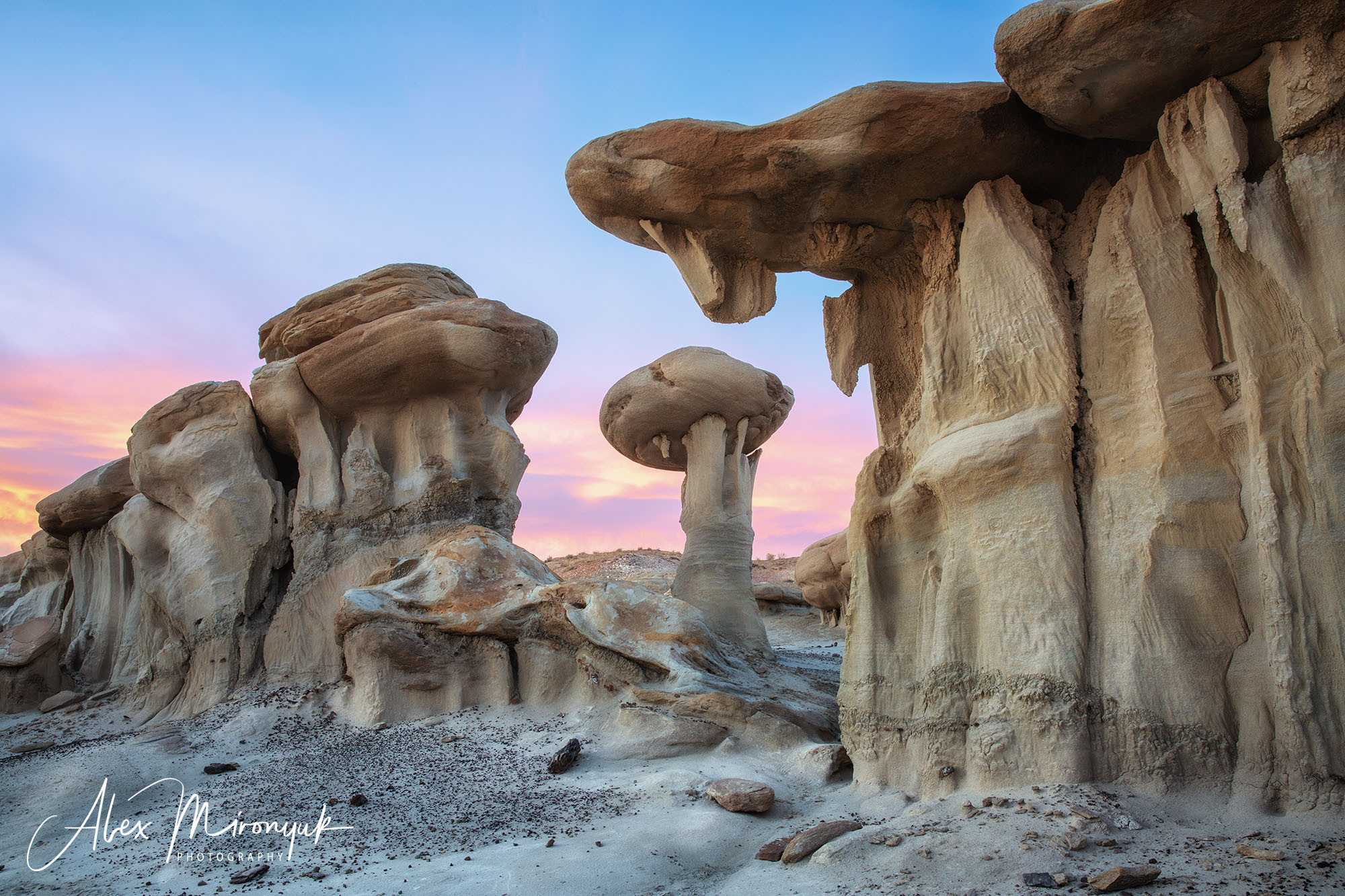 BADLANDS OF NEW MEXICO UNLIMITED. Terms & Conditions. Pet, Senior, Landscape, portrait studio, photographer in Miami and Sou