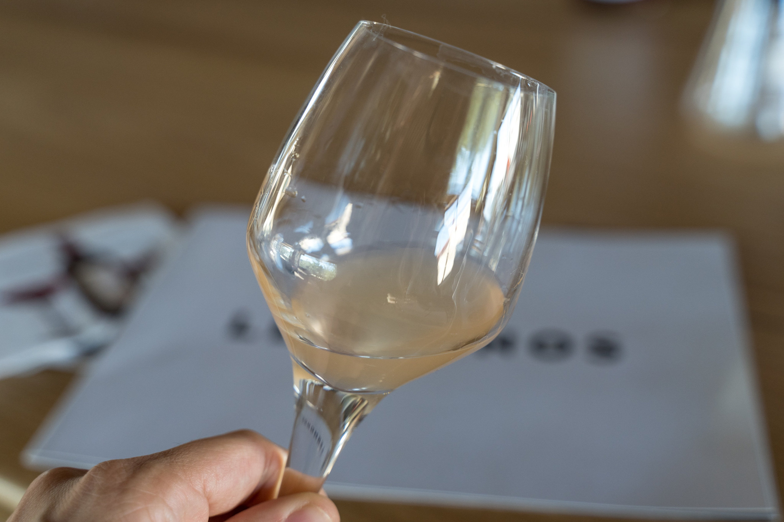 Экскурсия в винный регион Чал из Анталии. Ирина, фотограф в Анталии. Фотосессии в Кемере, Белеке, Сиде, Бодруме, Каше и Фетхие