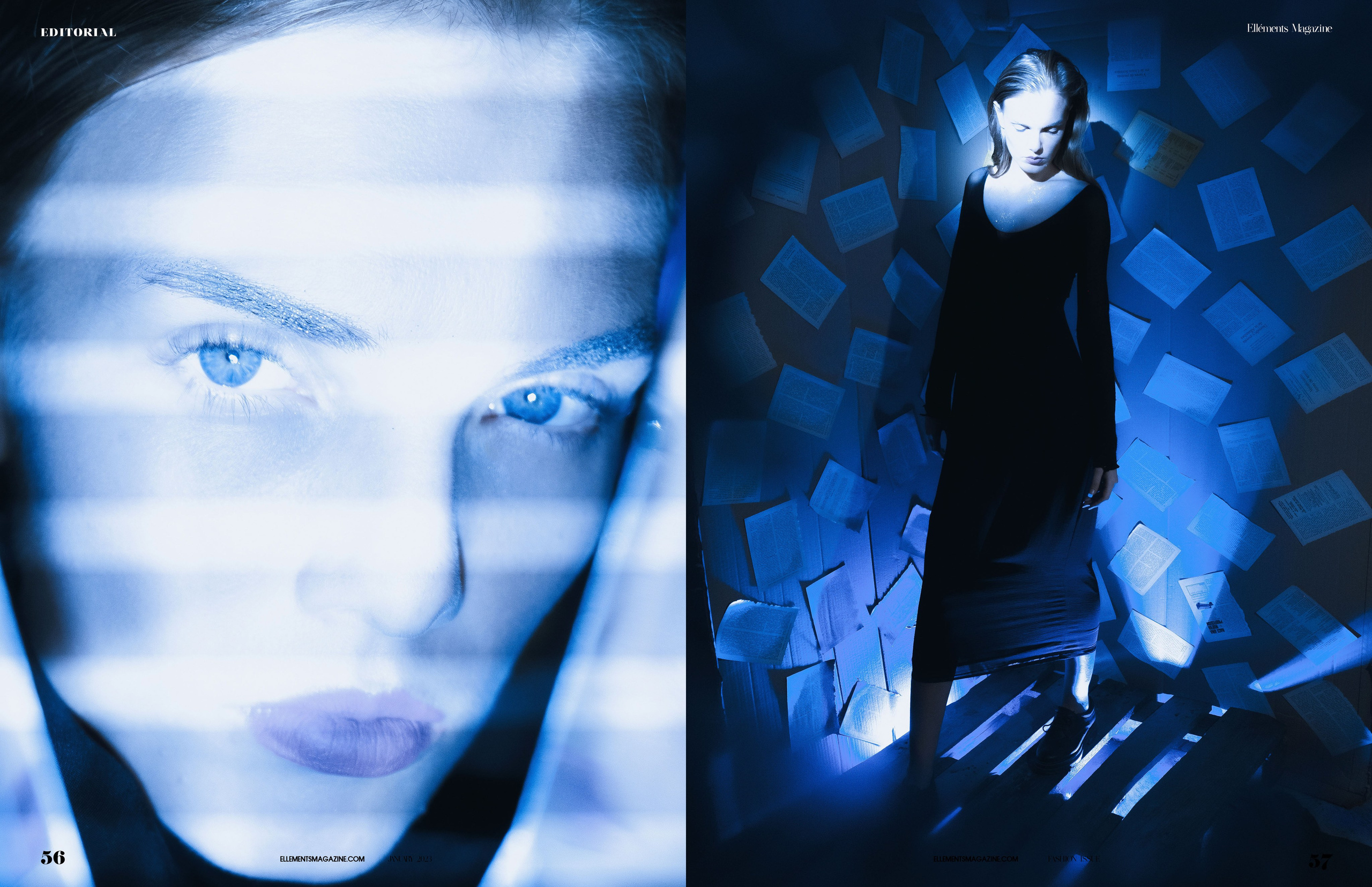 The best publications of the project R136a1