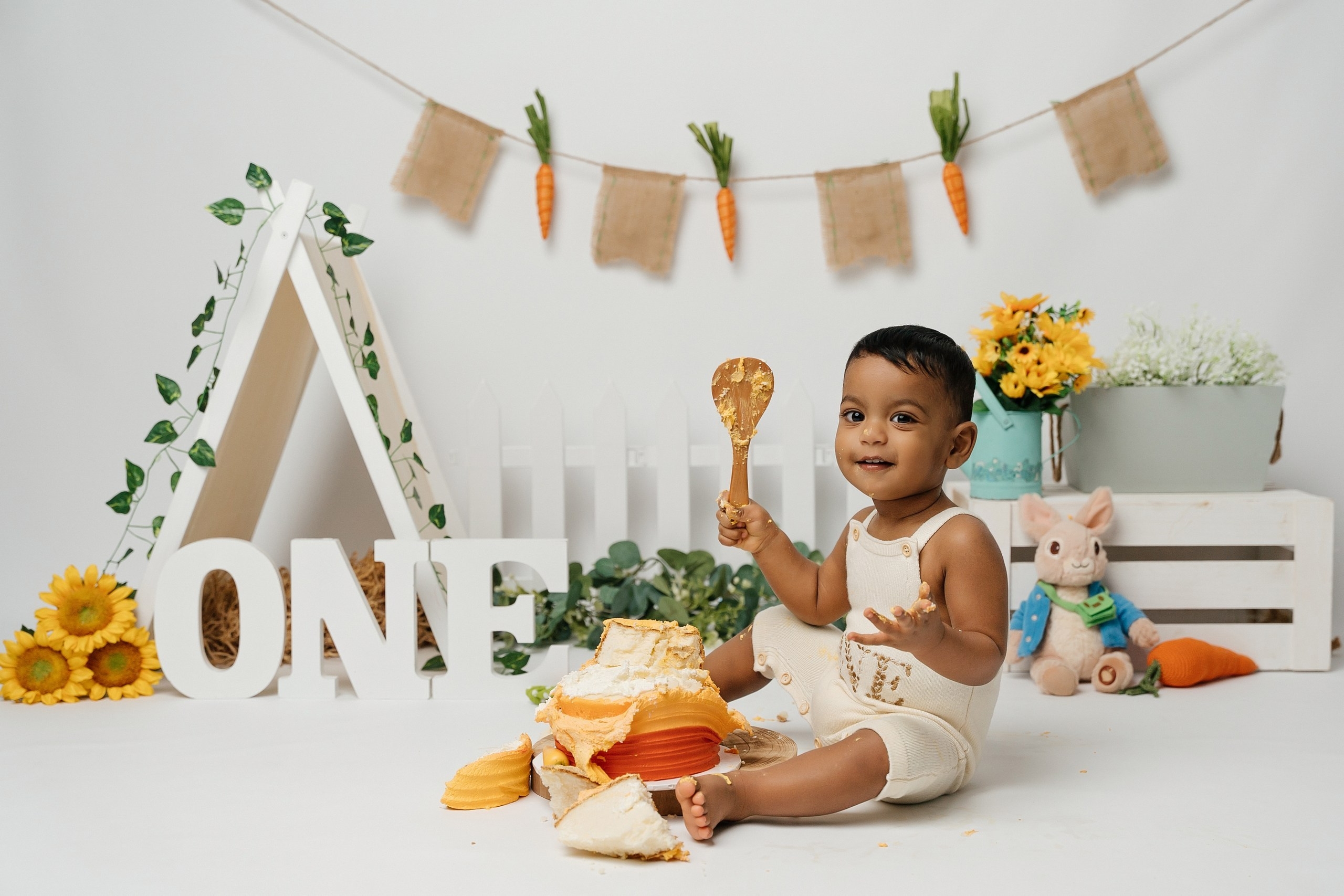Peter rabbit cake smash session. Newborn and family photographer. Hills District. Sydney