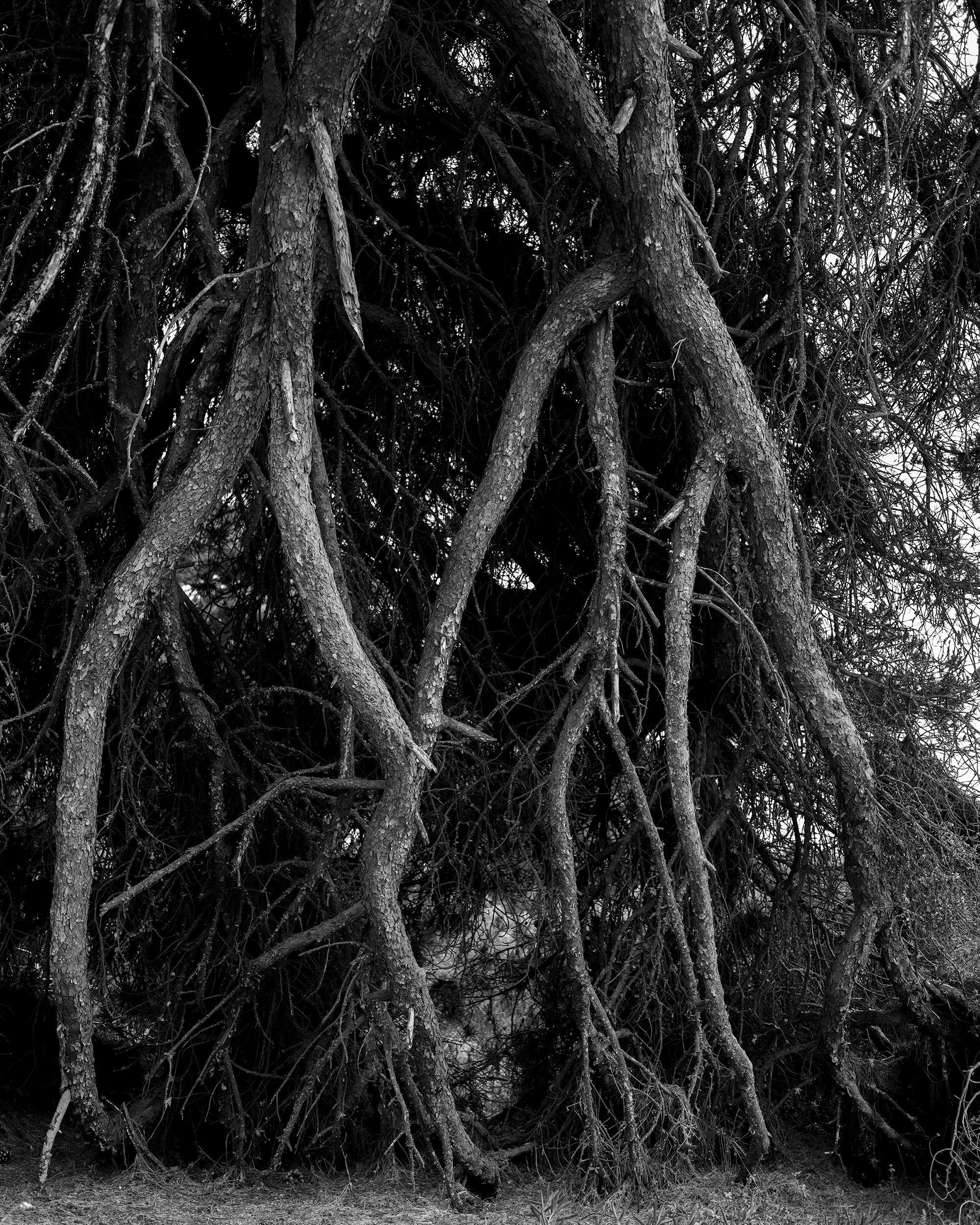 Katya Bogachevskaya — independent curator, lecturer